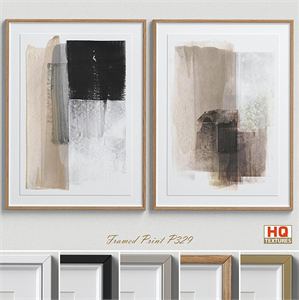 Framed Print P-329